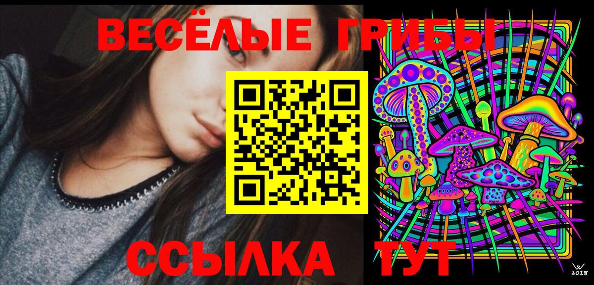 Галлюциногенные грибы Psilocybe  Вход с VPN  Южно-Сахалинск  Галлюциногенные грибы Psilocybine cubensis 
